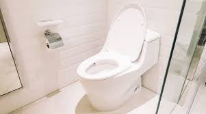 Toilet installation and repair